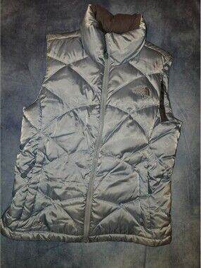 The North Face 550 Down Vest Women's